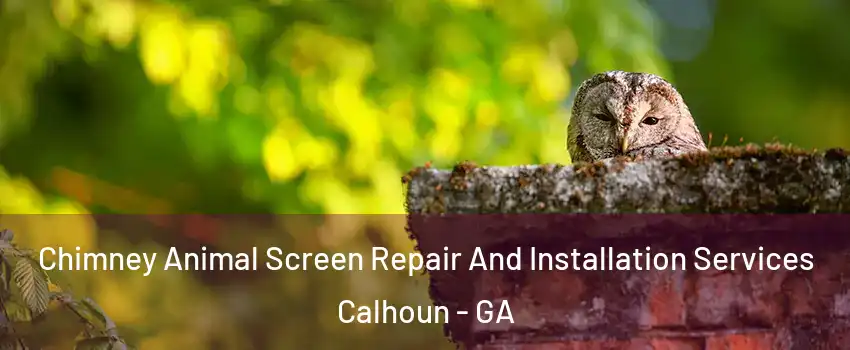  Chimney Animal Screen Repair And Installation Services Calhoun - GA