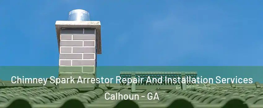  Chimney Spark Arrestor Repair And Installation Services Calhoun - GA