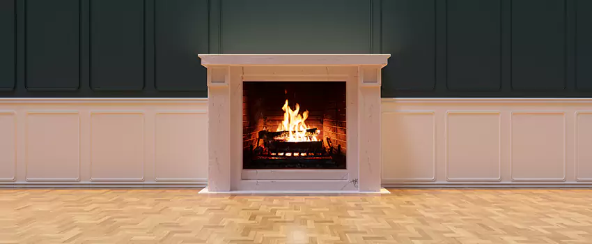 Napoleon Electric Fireplaces Inspection Service in Calhoun, Georgia