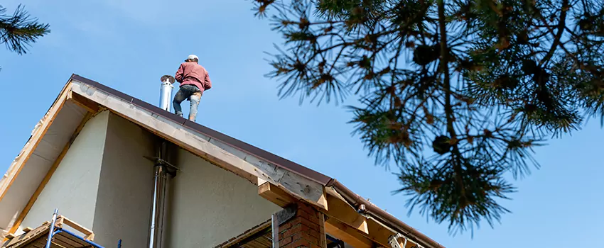 Birds Removal Contractors from Chimney in Calhoun, GA