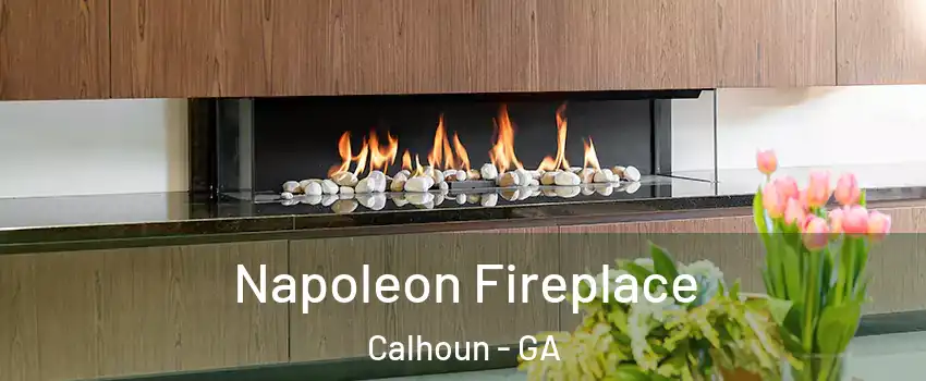  Napoleon Fireplace Calhoun - GA